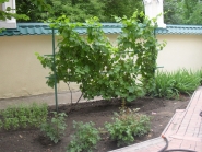 Sviato-Voznesenskiy-sobor_11-07-2015_23