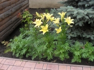 Sviato-Voznesenskiy-sobor_11-07-2015_27