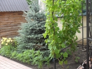 Sviato-Voznesenskiy-sobor_11-07-2015_30