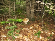 kavkaz-sept-2013_10