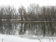 kreschenie-gospodne_zheltoe_19-01-2014_19