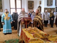 Feodor-Tiron_27-Febr-2015_03