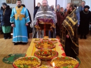 Feodor-Tiron_27-Febr-2015_04