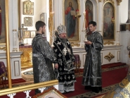 Aleksandrovsk-vizit-Vladyki_11-Marta-2015_41.jpg