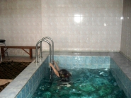 Aleksandrovsk_Kreschenie_19-01-2015_61