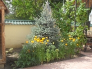 Aleksandrovsk-church_17-08-2015_29