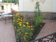 Aleksandrovsk-church_17-08-2015_35
