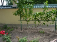 vosnesenie-prestol-vystavka_070