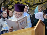 Престольный праздник в храме в честь Иверской иконы Божией Матери с.Долгое, 26.10.2013_60