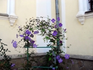 Rogdestvo-Bogoroditcy_Aleksandrovsk_21-09-2015_08