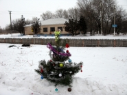 Zheltoe_Rogdestvo-Xristovo_06-07_01_2015_16