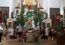 Праздник Святой Троицы в Свято-Вознесенском храме, 4.06.2017