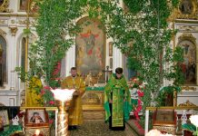 Праздник Святой Троицы в Свято-Вознесенском храме, г.Александровск, 16.06.2019
