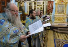 Предрождественское интервью духовенства Александровского благочиния